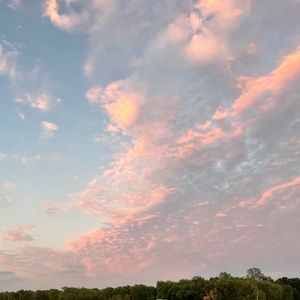 Meet your Posher, Channing